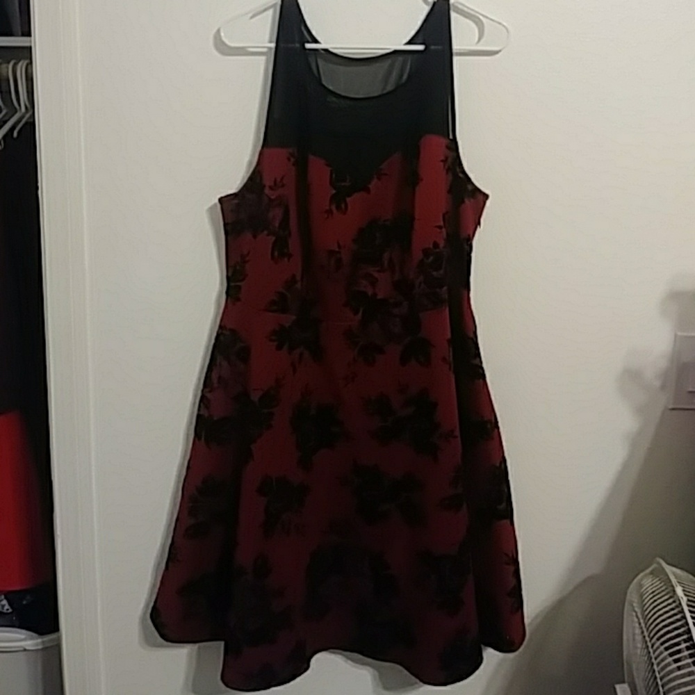 Homecoming Dress/Semi Formal Dress